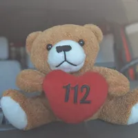 baer112.jpg