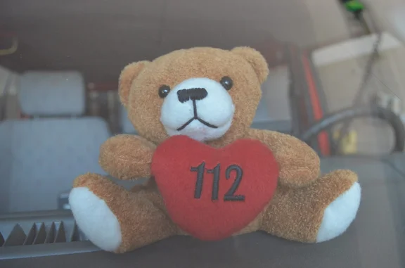 baer112.jpg