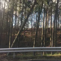 baum_pindhart.jpg
