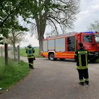 c4ecae25-a1e2-4f82-9df2-e108e1f1cfb3.jpg